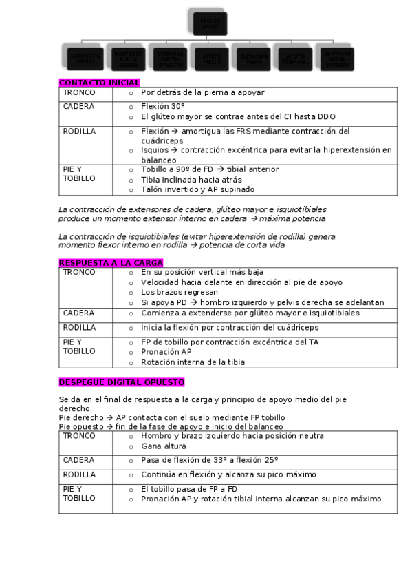 Miniatura del documento ANALISIS-DE-LA-MARCHA.docx