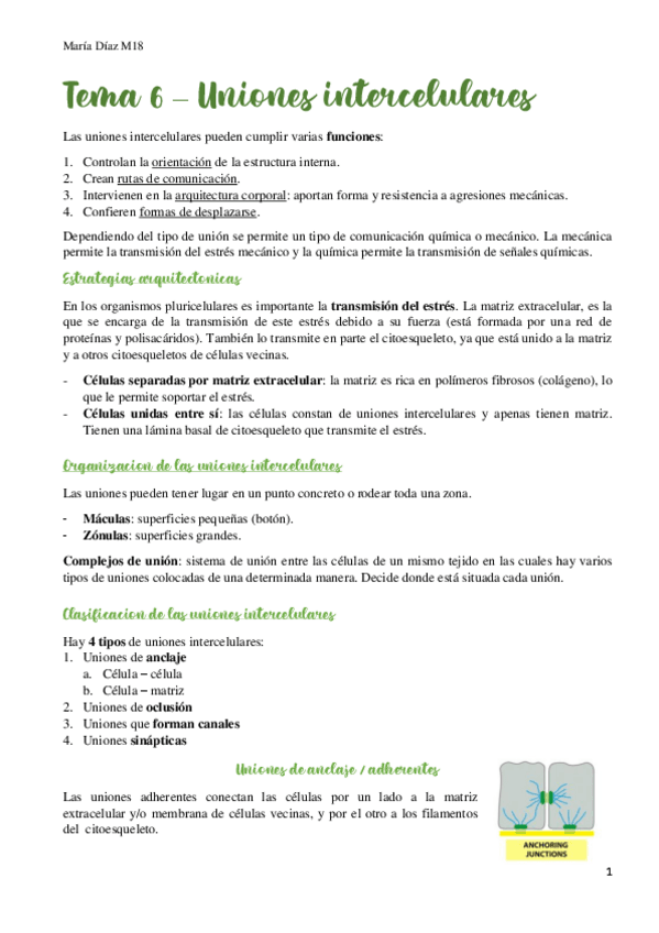 Miniatura del documento t6.pdf