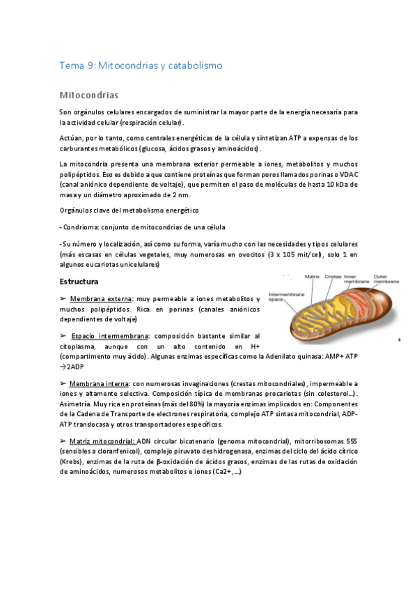 Miniatura del documento Tema-9-bcm.pdf