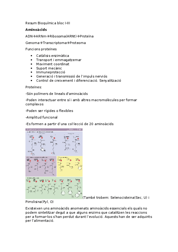 Miniatura del documento Resum-Bioquimica-bloc-I-III.docx
