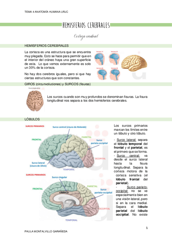 Miniatura del documento tema-4.pdf
