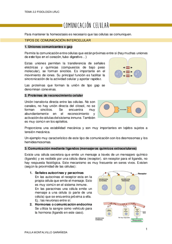 Miniatura del documento TEMA-2.pdf