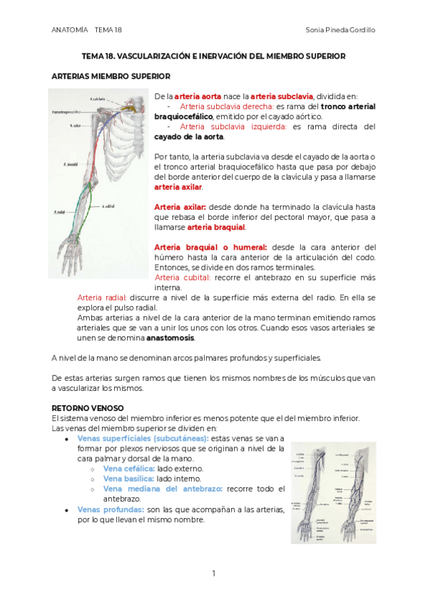 Miniatura del documento ANAT.pdf