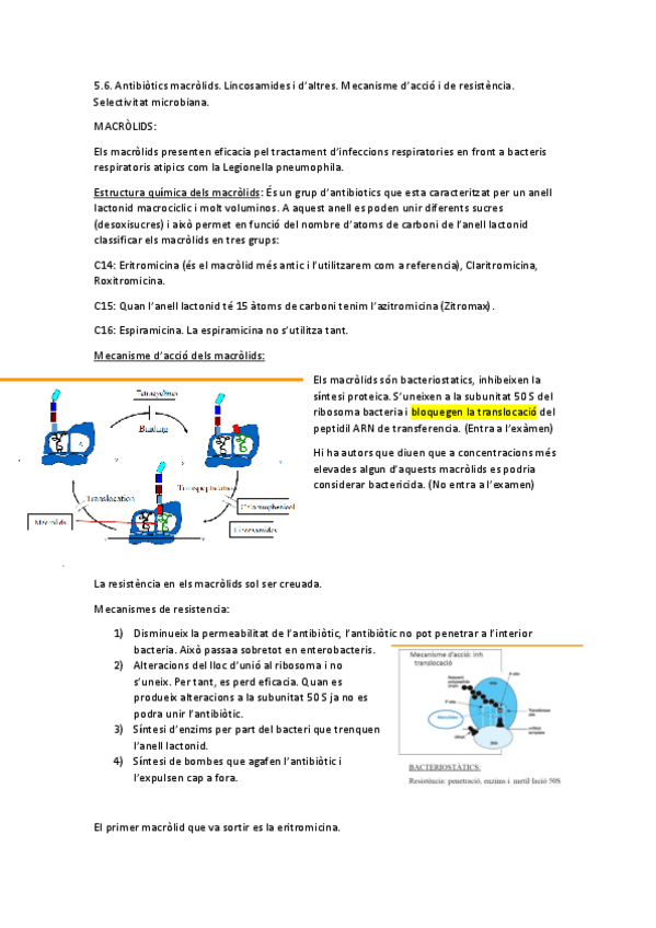 Miniatura del documento macrolidos-y-linco.pdf