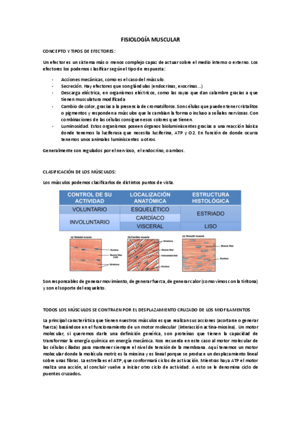 Miniatura del documento Fisiologia-muscular.pdf
