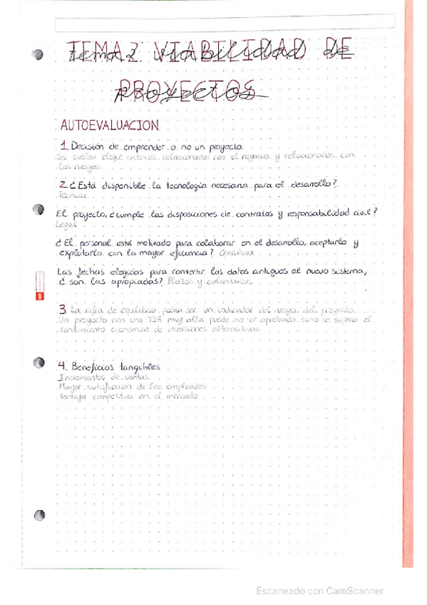 Miniatura del documento Autoevaluacion-Segundo-Tema.pdf
