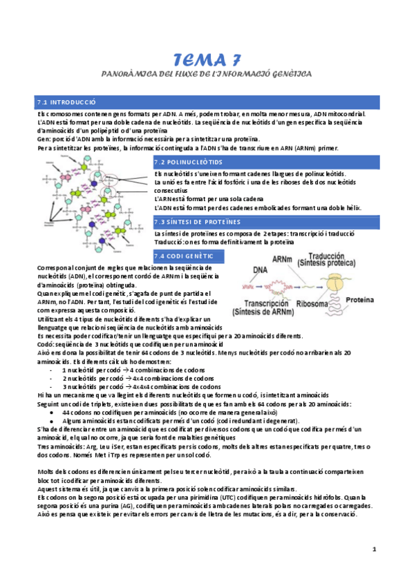 Miniatura del documento tema-7-genetica.pdf