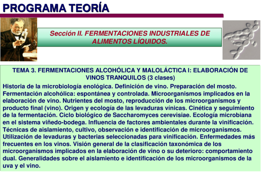 Miniatura del documento BiotecMicro-Grado-Biologia-2022-21-Tema-3-Vino.pdf