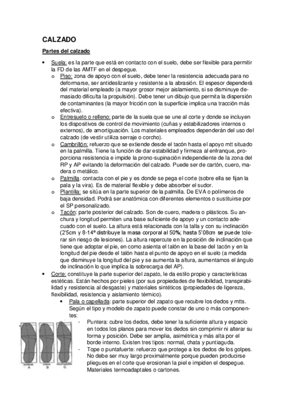 Miniatura del documento CALZADO.pdf