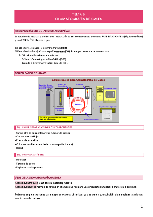 Miniatura del documento TEMA-5-Cromatografia-de-gases.pdf