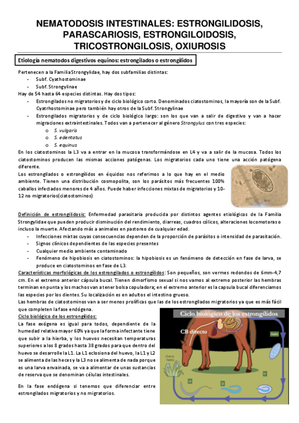 Miniatura del documento NEMATODOSIS-INTESTINALES-ESTRONGILIDOSIS.pdf
