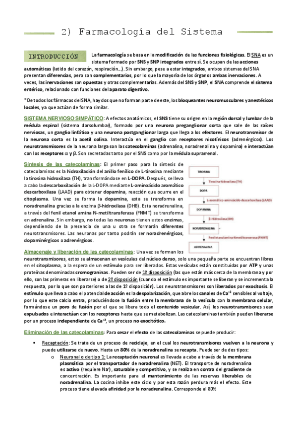 Miniatura del documento 2-Sistema-Nervioso-Autonomo.pdf