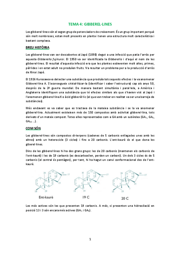 Miniatura del documento T4.pdf