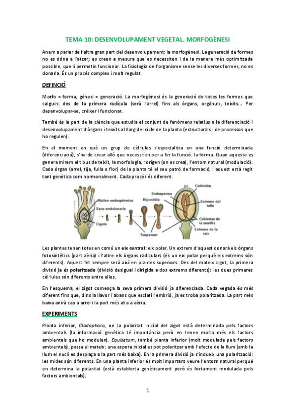Miniatura del documento T10.pdf