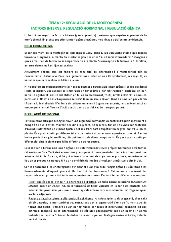 Miniatura del documento T12.pdf