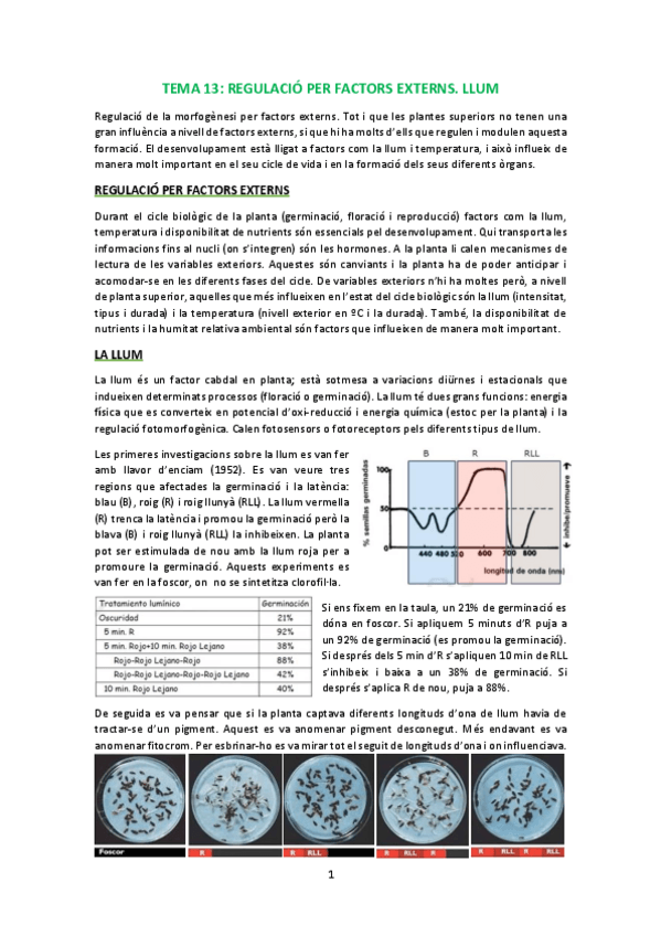 Miniatura del documento T13.pdf