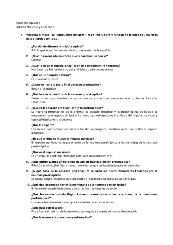 Miniatura del documento Sinapsis.pdf