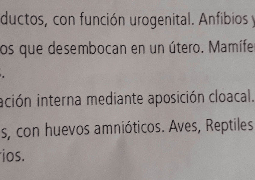 Miniatura del documento Imagenes-ilustradoras-e-info.pdf
