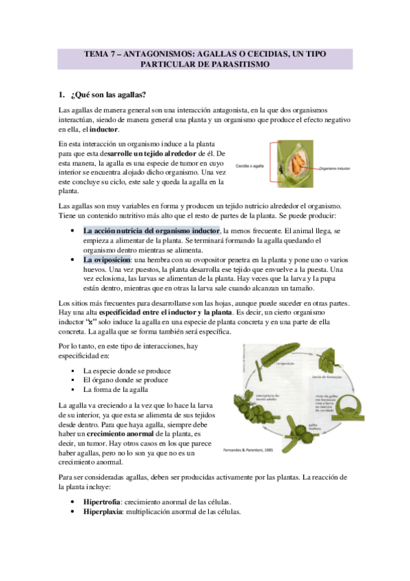 Miniatura del documento TEMA-7-AGALLAS-O-CECIDIAS.pdf