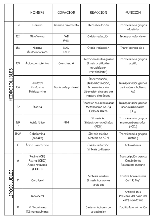 Miniatura del documento TABLA-VITAMINAS.pdf