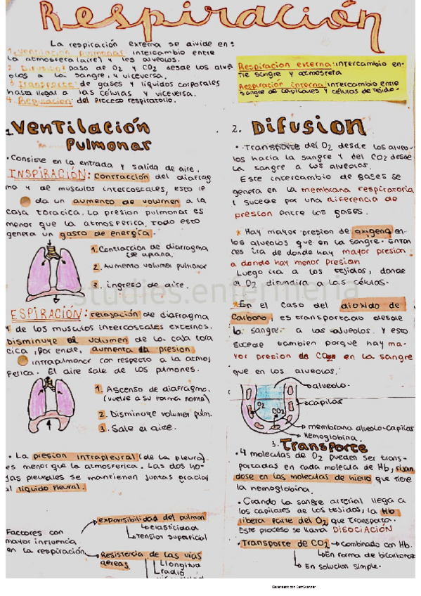 Miniatura del documento respiracion.pdf