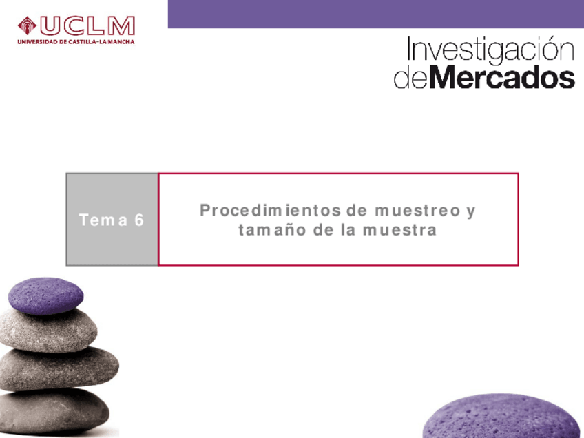 Miniatura del documento Tema-6-IM-2020-21-Campus-Virtual.pdf