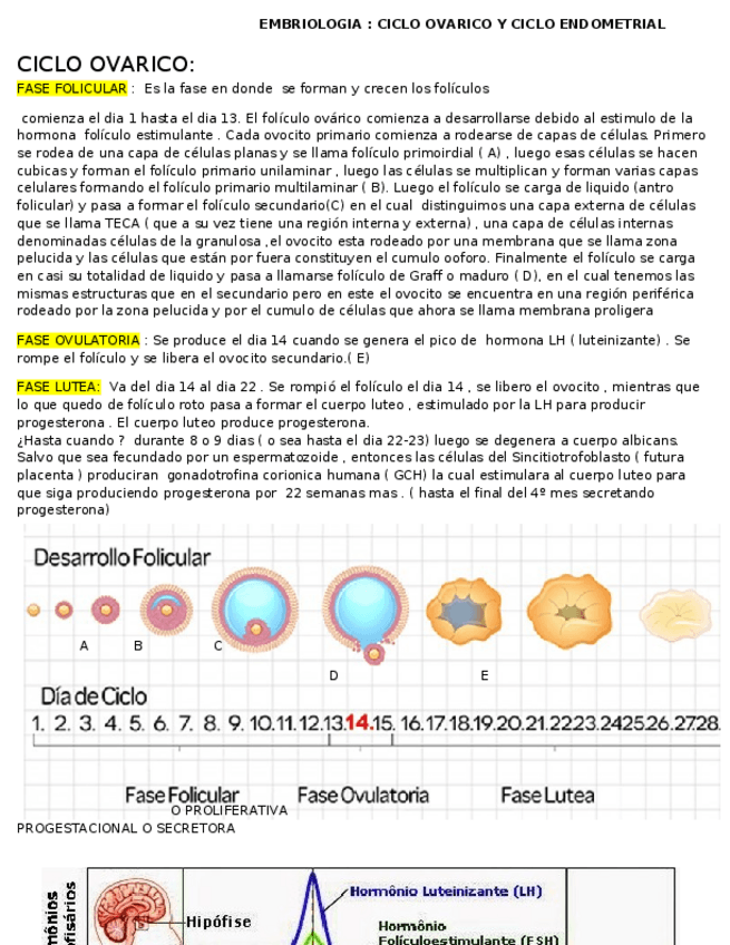 Miniatura del documento EMBRIOLOGIA-APUNTE-CICLO-OVARICO-Y-ENDOMETRIAL.docx