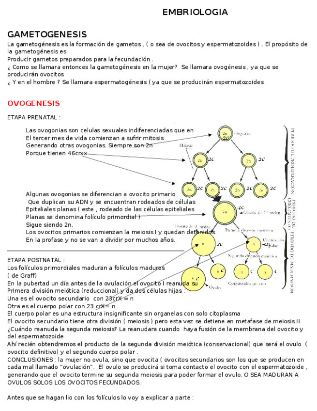 Miniatura del documento EMBRIOLOGIA-APUNTE-GAMETOGENESIS-FECUNDACION-primera-SEMANA.docx