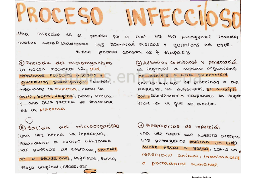 Miniatura del documento proceso-infeccioso.pdf