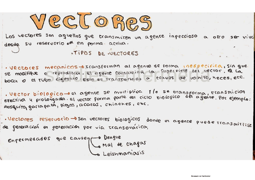Miniatura del documento vectores-y-ectoparasitos.pdf