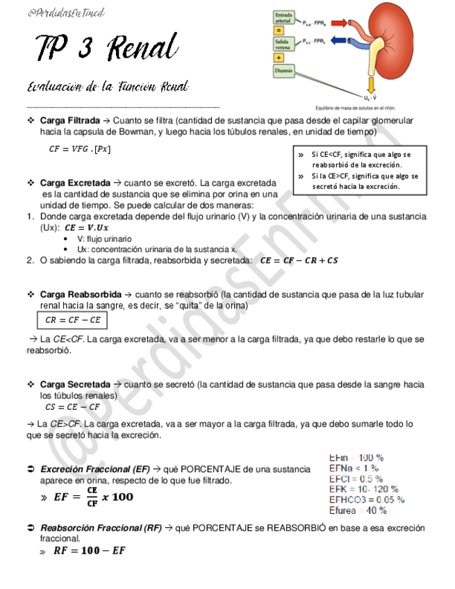 Miniatura del documento Evaluacion-de-la-funcion-renal.pdf