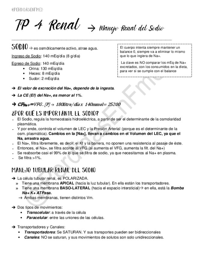Miniatura del documento Manejo-Renal-del-Sodio.pdf