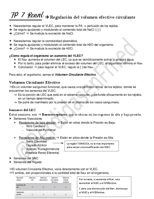 Miniatura del documento Regulacion-del-VCE.pdf