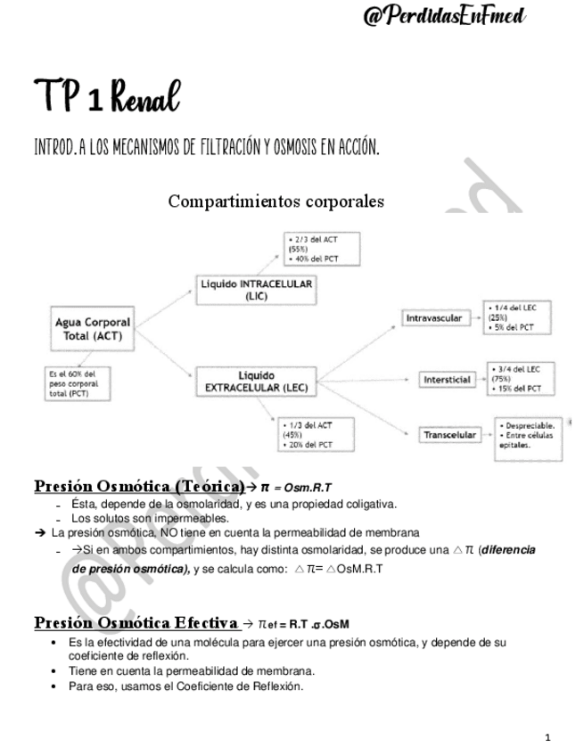 Miniatura del documento Mecanismos-de-filtracion-y-osmosis.pdf