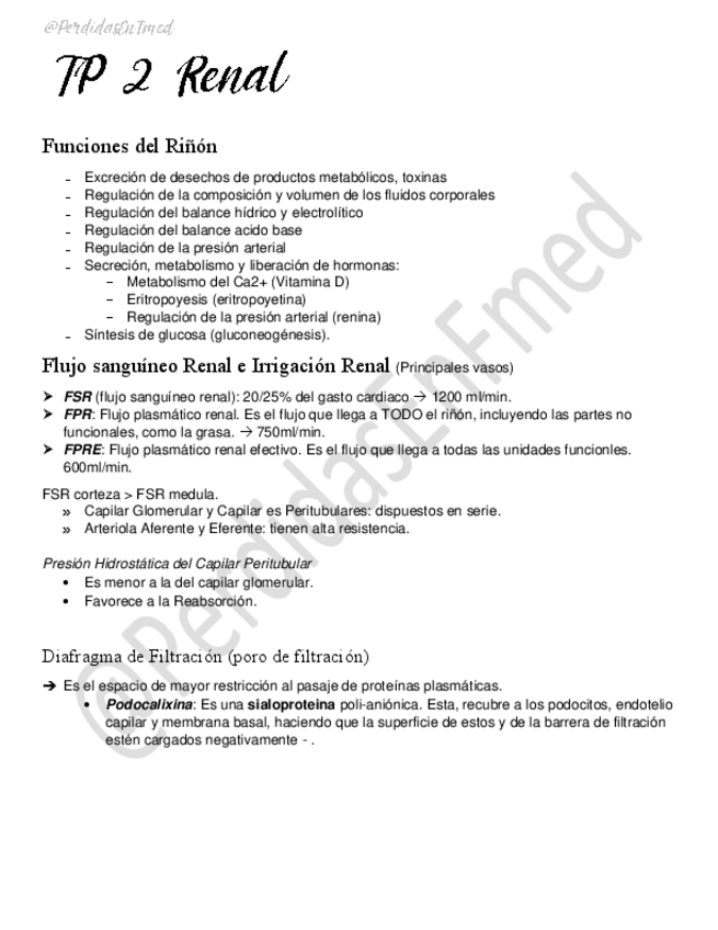 Miniatura del documento Generalidades-Rinon.pdf