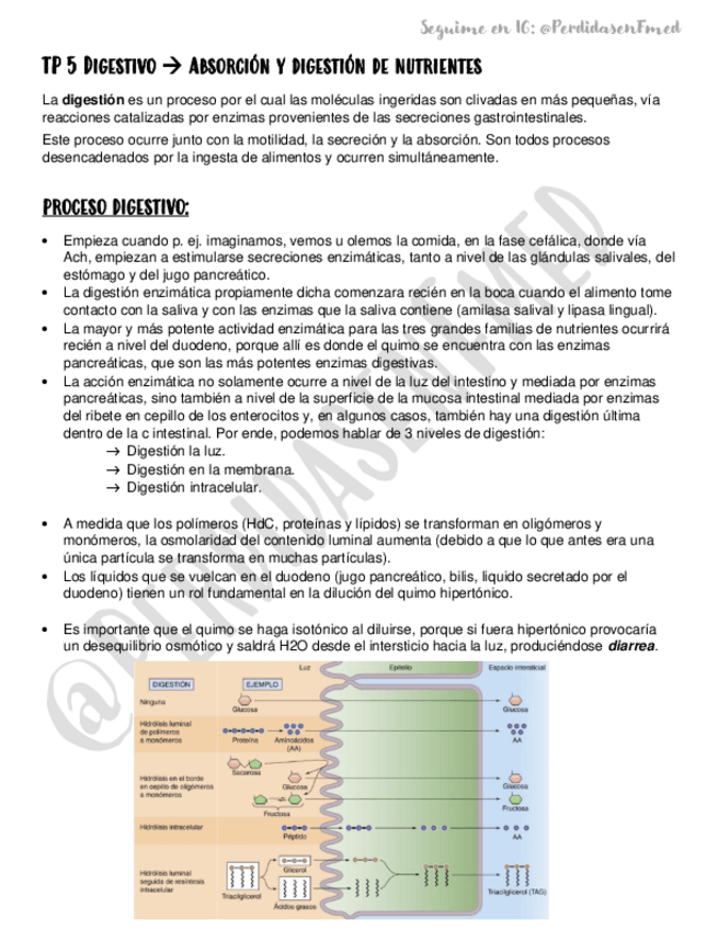 Miniatura del documento 5-Absorcion-de-nutrientes.pdf
