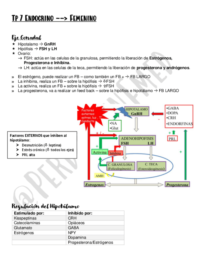 Miniatura del documento Femenino.pdf