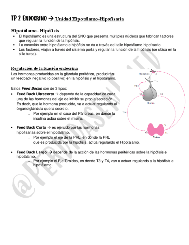 Miniatura del documento Unidad-Hipotalamo-Hipofisaria.pdf