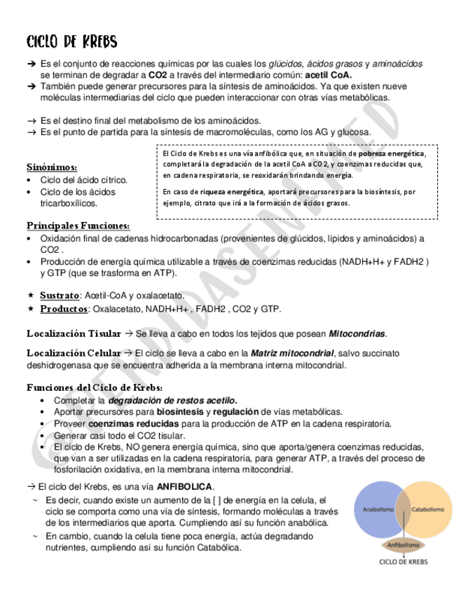 Miniatura del documento Ciclo-de-Krebs.pdf