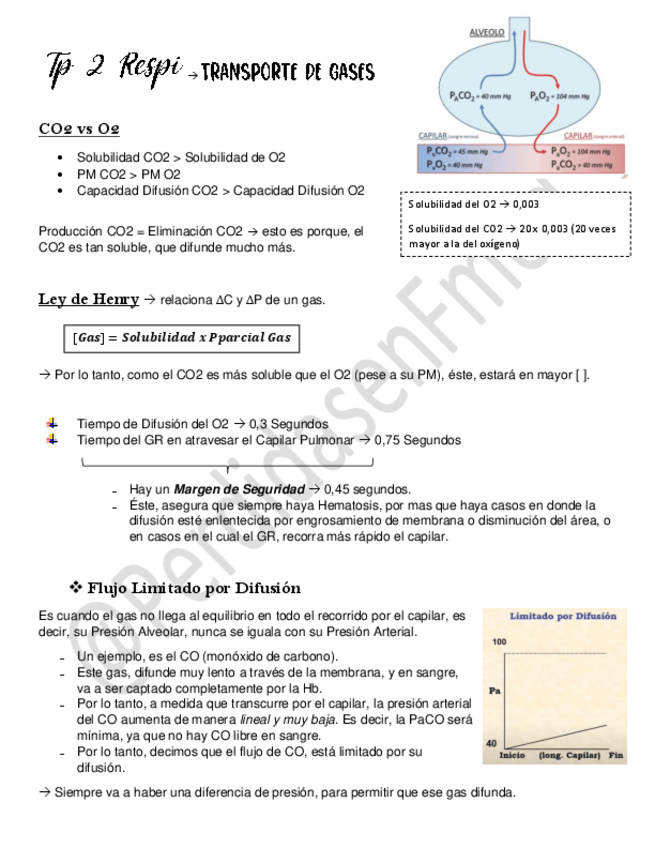 Miniatura del documento TP-2-Transporte-de-Gases.pdf