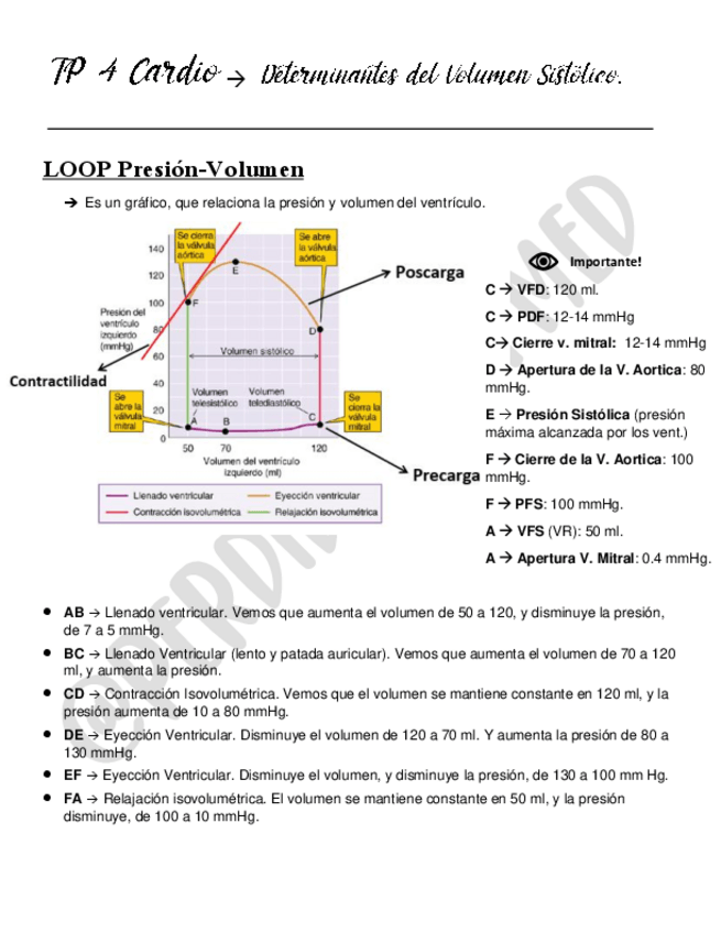 Miniatura del documento 4-Determinantes-del-volumen-sistolico.pdf