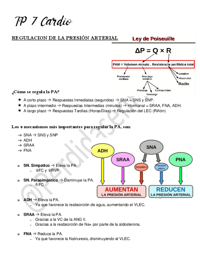 Miniatura del documento 7-Regulacion-de-la-presion-arterial.pdf