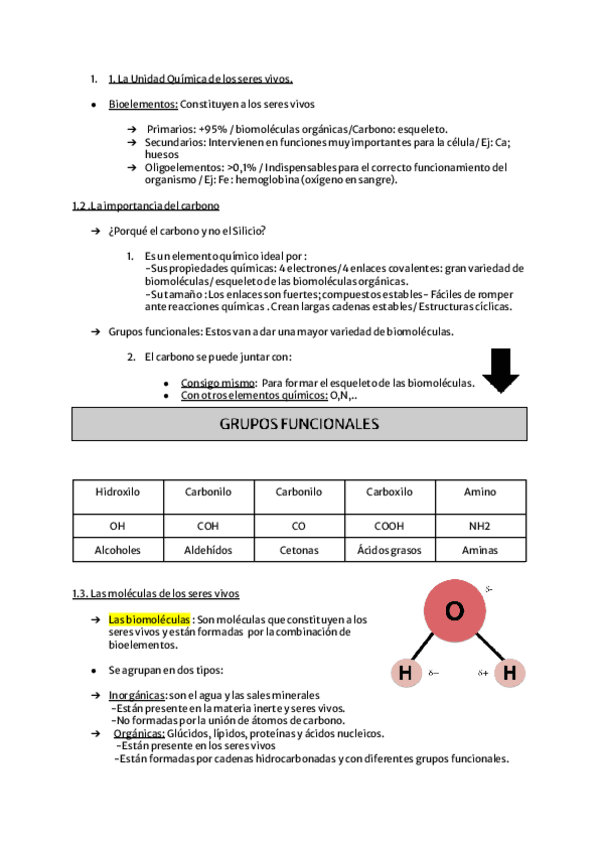 Miniatura del documento Biologia.pdf
