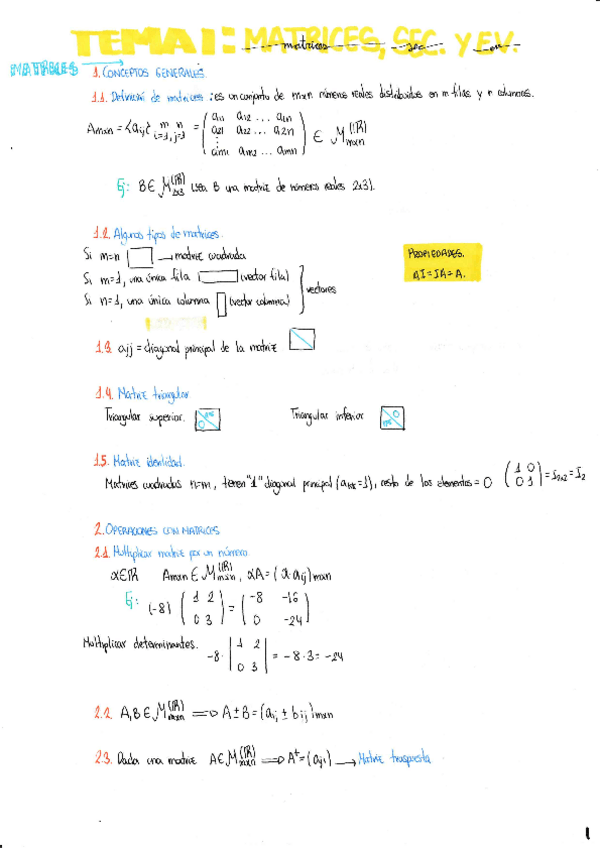 Miniatura del documento TEMA1MatricesSiste.pdf
