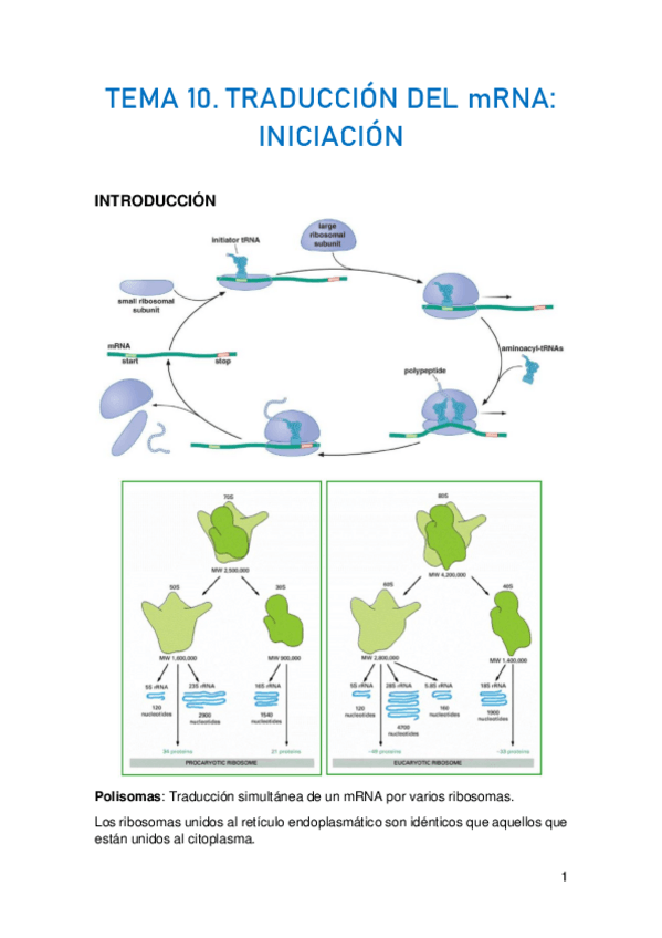Miniatura del documento TEMA-10.pdf