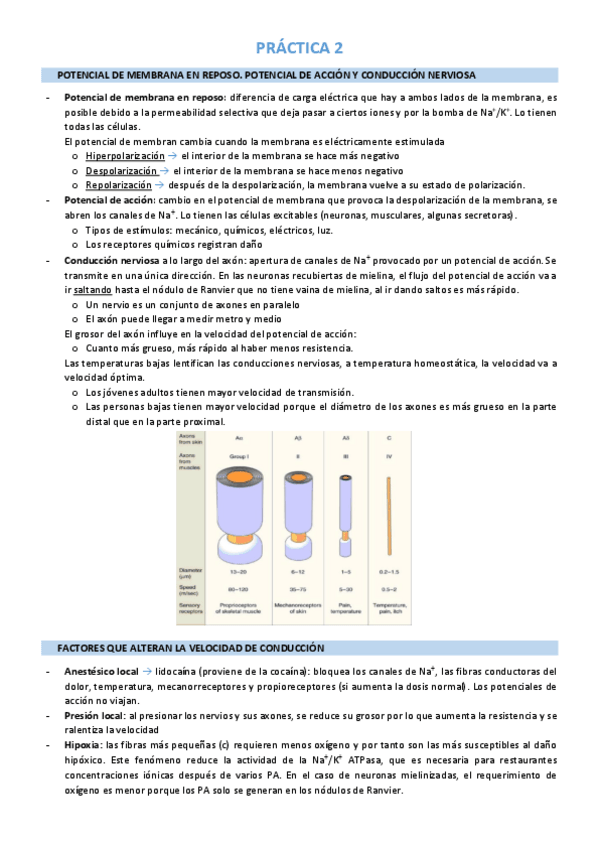 Miniatura del documento Práctica 2