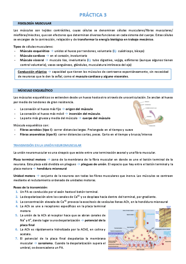 Miniatura del documento Práctica 3