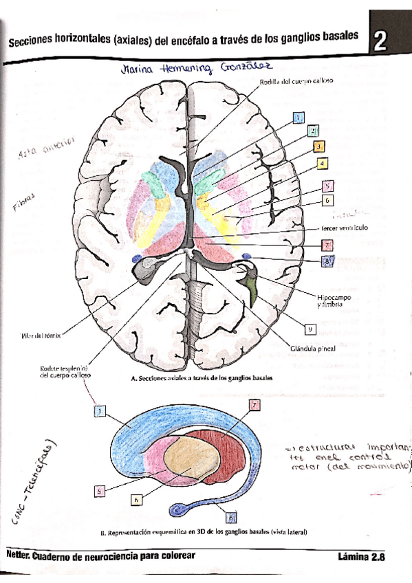 Miniatura del documento LAMINAS-2.pdf