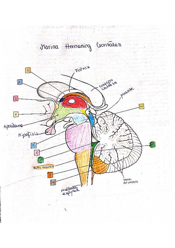 Miniatura del documento Laminas-4.pdf