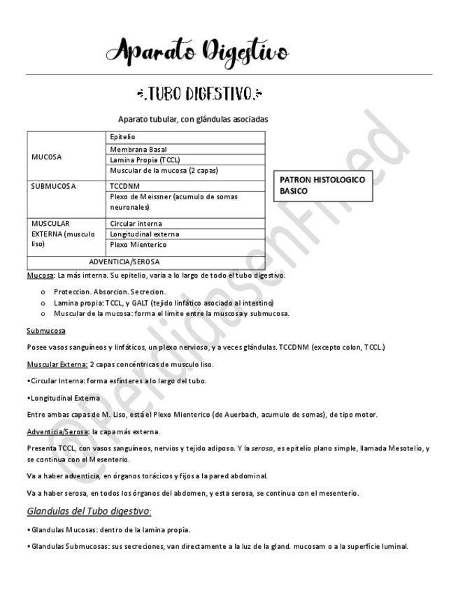 Miniatura del documento Aparato-Digestivo.pdf